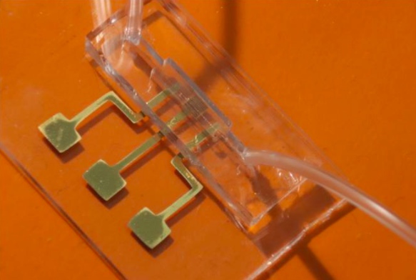 研究人员快速Covid-19抗体测试由微流体芯片提供动力的原型